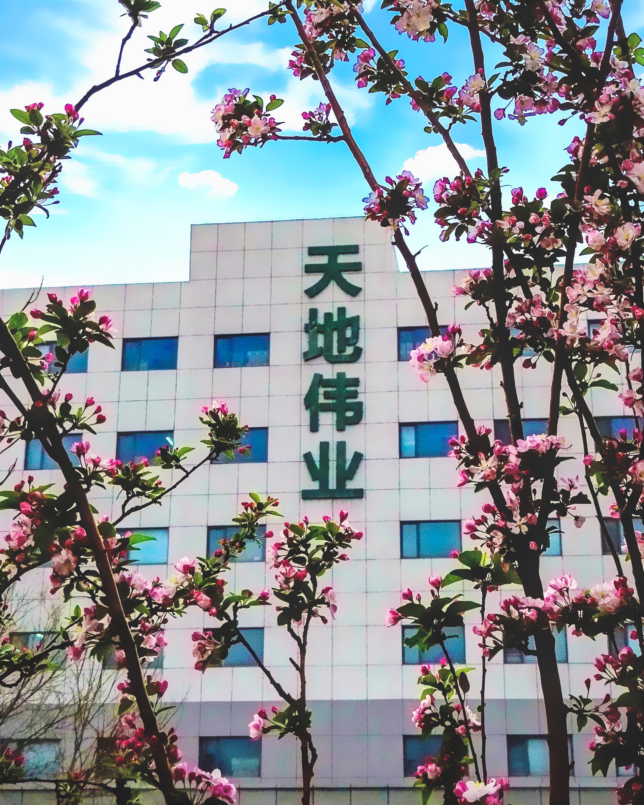 AG�콢��(�й���)���Źٷ�-AsiaGaming!