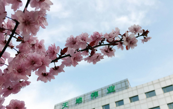 AG�콢��(�й���)���Źٷ�-AsiaGaming!