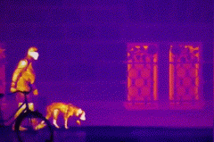 AG�콢��(�й���)���Źٷ�-AsiaGaming!