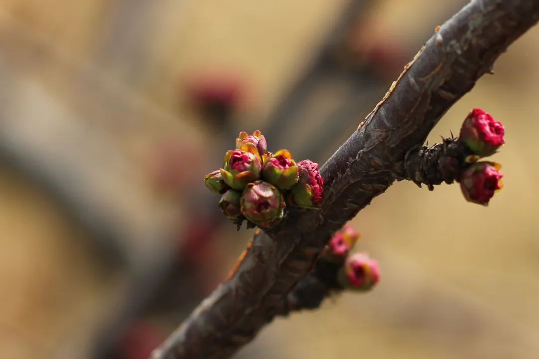 AG�콢��(�й���)���Źٷ�-AsiaGaming!