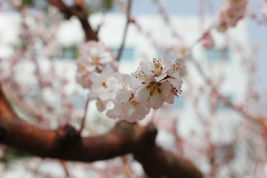 AG�콢��(�й���)���Źٷ�-AsiaGaming!