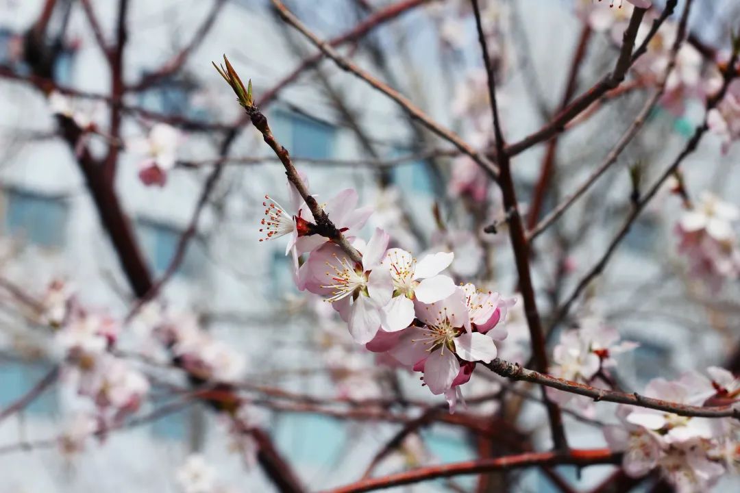 AG�콢��(�й���)���Źٷ�-AsiaGaming!